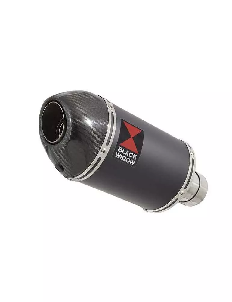Z750 ZR750 Z750S 04 05 06 Tube de raccord et Silencieux Ovale Noir En Inox + Canule En Carbone 200mm