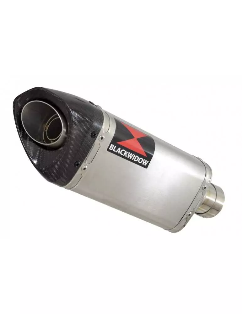 KLE 650 VERSYS 07-14 De Cat Ligne complètes + Tri Ovale Stainless Silencieux Carbon Tip 250mm