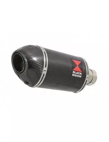 KLE 650 VERSYS 2007-2014 exhaust tube de raccord et Ovale En Carbone Silencieux + carbon tip 200mm