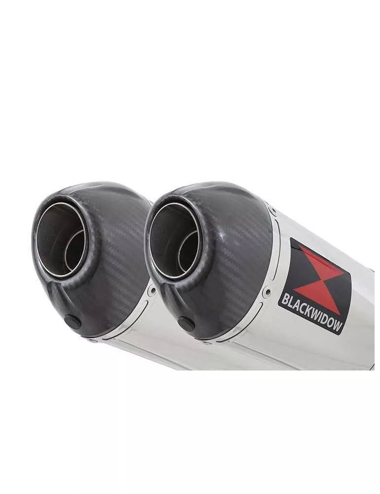 GPZ 500 (EX500) 2-2 Silencieux Kit & Silencieux Ovale En Inox + Carbone 300mm
