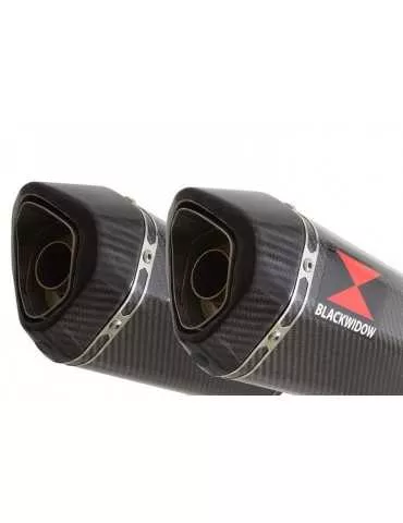 GPZ 500 (EX500) 2-2 Silencieux Kit & Silencieux Hexagonale En Carbone 300mm