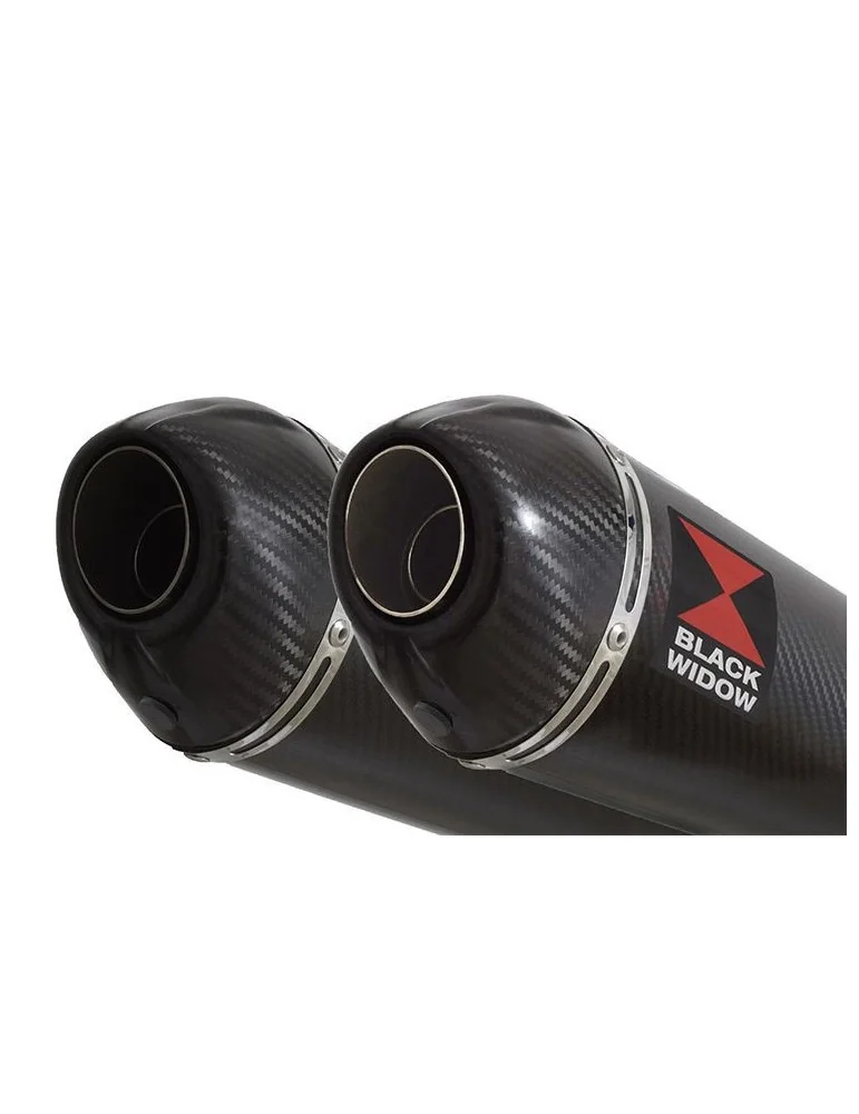 GPZ 500 (EX500) 2-2 Silencieux Kit & Silencieux Ovale En Carbone + Carbone 200mm