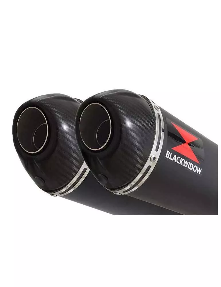 KAWASAKI GPZ1100 GPZ 1100 4-2 Ligne complète & Silencieux Ovale Noir En Inox + Canule en Carbone 300mm