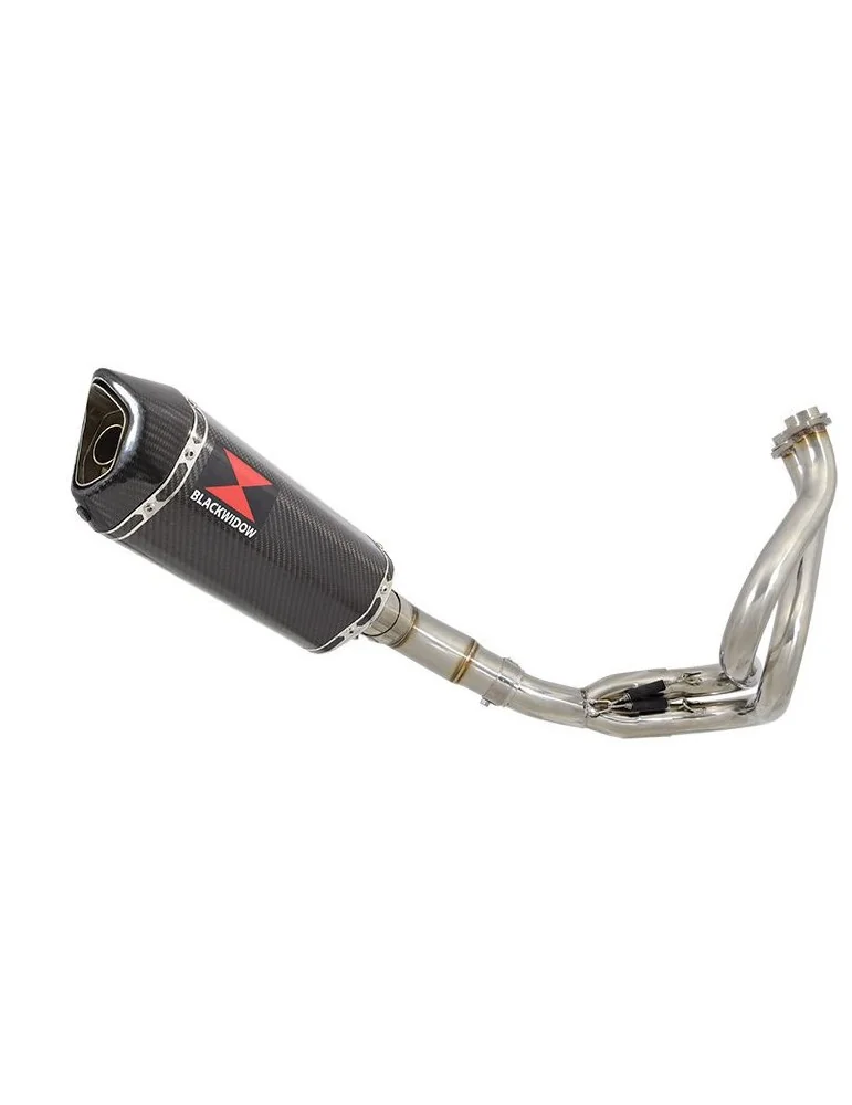 Kawasaki ER-6N ER-6F ER650 2005-2011 Passage Bas Decata Ligne complète + Silencieux Hexa Carbone 300mm