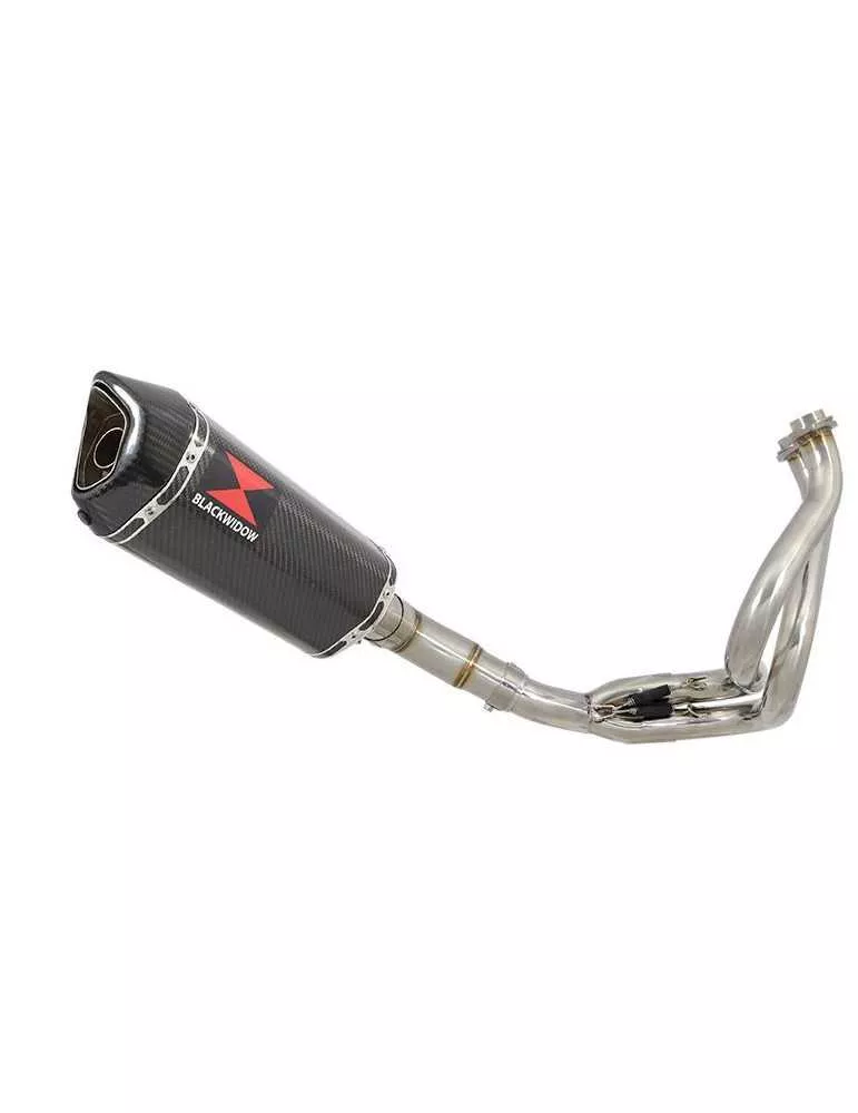 Kawasaki ER-6N ER-6F ER650 2005-2011 Passage Bas Decata Ligne complète + Silencieux Hexa Carbone 300mm