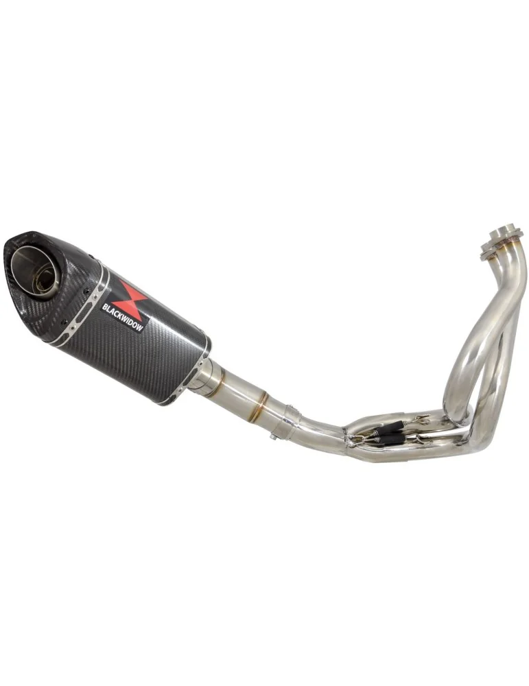 Kawasaki ER-6N ER-6F ER650 2005-2011 Passage Bas Decata Ligne complète + Silencieux Tri Ovale En Carbone 250mm