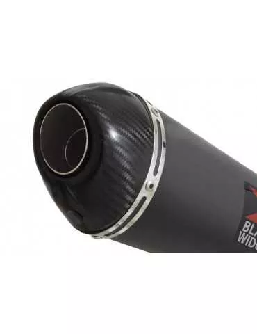 Kawasaki ER-6N ER-6F ER650 2005-2011 Passage Bas Decata Ligne complète + Silencieux Ovale Black En Inox + Carbone 220mm