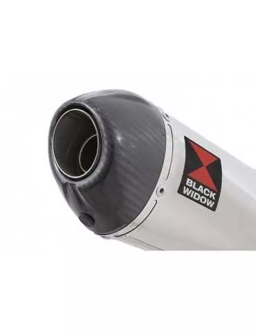 Kawasaki ER-6N ER-6F ER650 2005-2011 Passage Haut Decata Ligne complète + Silencieux Ovale En Inox +  Carbone 200mm