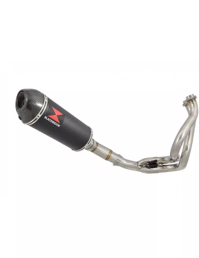 Kawasaki ER-6N ER-6F ER650E 2012-2017 Decata Ligne complète + Silencieux Ovale Noir En Inox + Carbone 300mm
