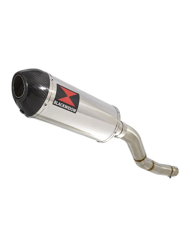 Kawasaki ER-6N ER-6F ER650 2005-2011 Passage Haut Tube de raccord et Silencieux Ovale En Inox + Carbone 300mm