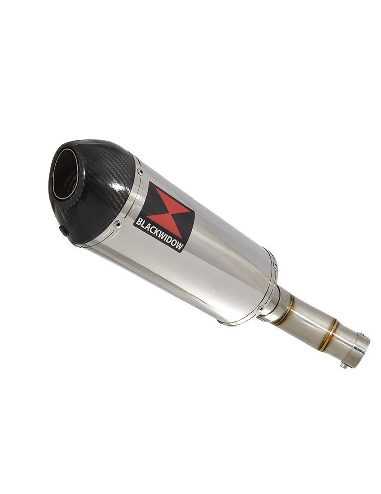 Kawasaki ER-6N ER-6F ER650 2005-2011 Passage Bas Tube de raccord et Silencieux Ovale En Inox + Carbone 300mm
