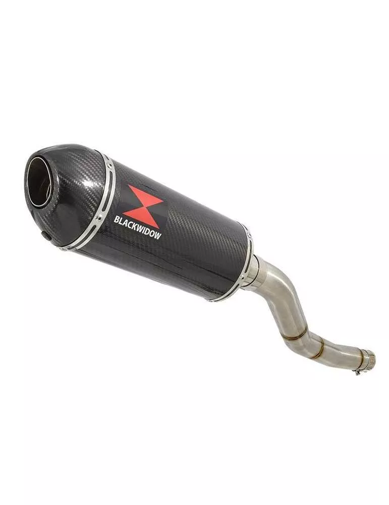 Kawasaki ER-6N ER-6F ER650 2005-2011 Passage Haut Tube de raccord et Silencieux Ovale En Carbone + Carbone 300mm