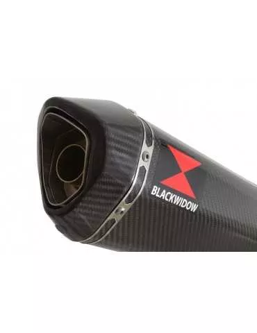 Kawasaki ER-6N ER-6F ER650 2005-2011 Passage Haut Tube de raccord et Silencieux Hexagonale En Carbone 300mm