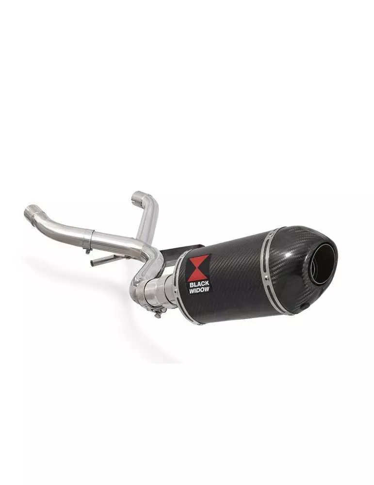 R1150 GS Décatalyseur exhaust collector & Ovale En Carbone Silencieux + carbon tip 200mm