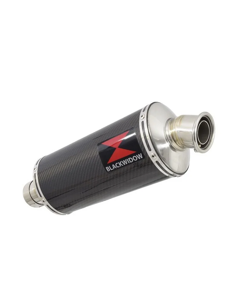 R1150 GS exhaust tube de raccord et Ovale En Carbone Silencieux 300mm