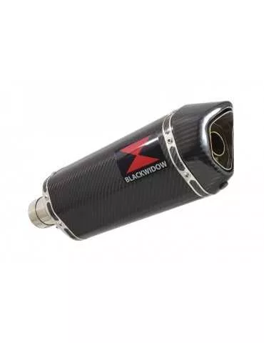R1150 GS exhaust tube de raccord et Hexagonale En Carbone Silencieux 300mm