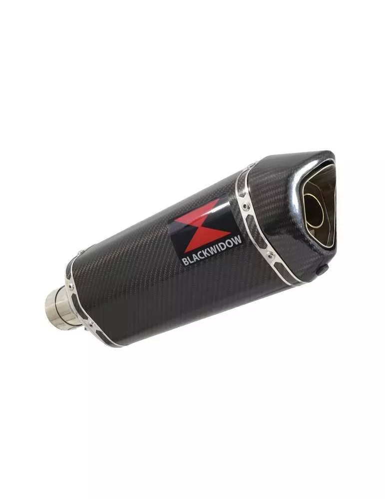 R1150 GS exhaust tube de raccord et Hexagonale En Carbone Silencieux 300mm