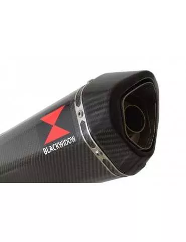 R1150 GS exhaust tube de raccord et Hexagonale En Carbone Silencieux 300mm