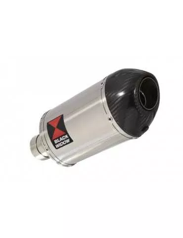 R1150 GS tube de raccord et Ovale Silencieux En Inox + carbon 200mm