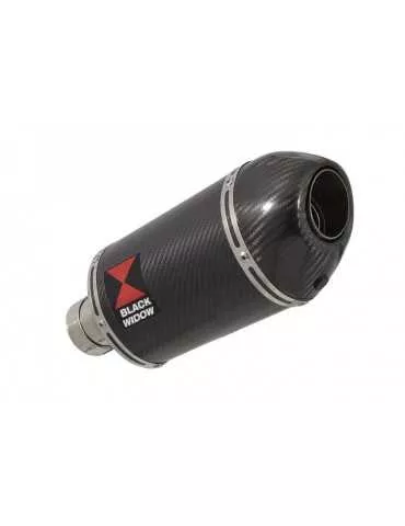 R1150 GS tube de raccord et Ovale En Carbone Silencieux + carbon 200mm