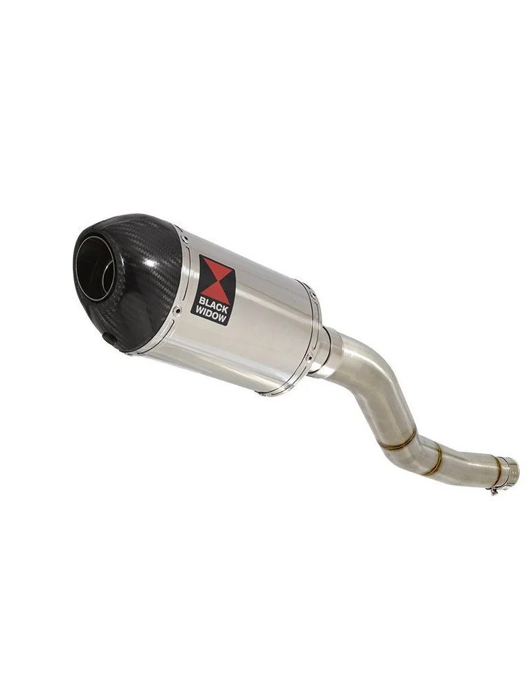 Kawasaki ER-6N ER-6F ER650 2005-2011 Passage Haut Tube de raccord et Silencieux Ovale En Inox + carbone 200mm