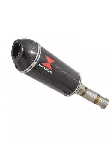 Kawasaki ER-6N ER-6F ER650 2005-2011 Passage Bas Tube de raccord et Silencieux Ovale En Carbone + Carbone 300mm