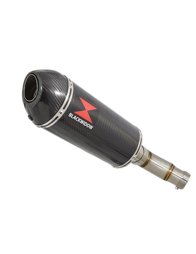 Kawasaki ER-6N ER-6F ER650 2005-2011 Passage Bas Tube de raccord et Silencieux Ovale En Carbone + Carbone 300mm