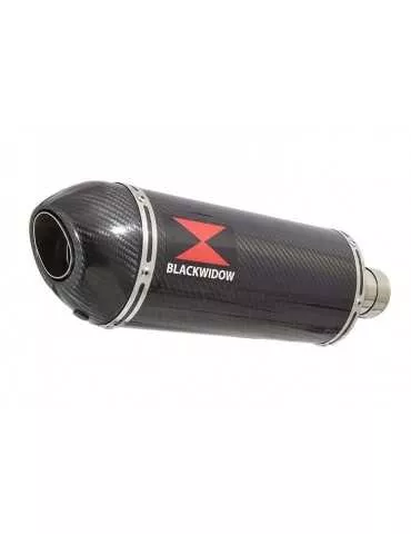 HYOSUNG GT250R GT250 COMET Ligne complète & Silencieux Ovale Noir En Inox + Carbone 300mm