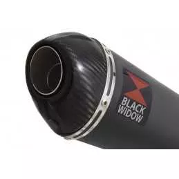 XT125R XT125X Tube de raccord & Silencieux Ovale Noir En Inox & Canule En Carbone 200mm
