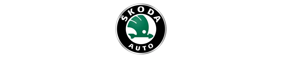 Ligne et Echappement sport Skoda