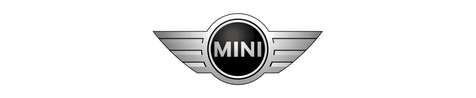 Ligne et Echappement sport Mini